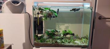 Superfish Home 110 LED Aquarium — Uitstekende staat — 110L beschikbaar voor biedingen