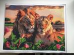 Afgewerkte diamond painting leeuwen. Nieuw., Enlèvement, Neuf, Autres types