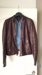 Leder jasje Massimo Dutti, Massimo Dutti, Ophalen of Verzenden, Zo goed als nieuw, Jasje