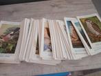 Cartes postales, Ophalen, Ongelopen, Vogel