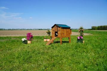 Trespa Kippenhok / Duplex L - Cucciolotta beschikbaar voor biedingen