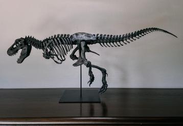 3D T-REX skeletmodel 1m10