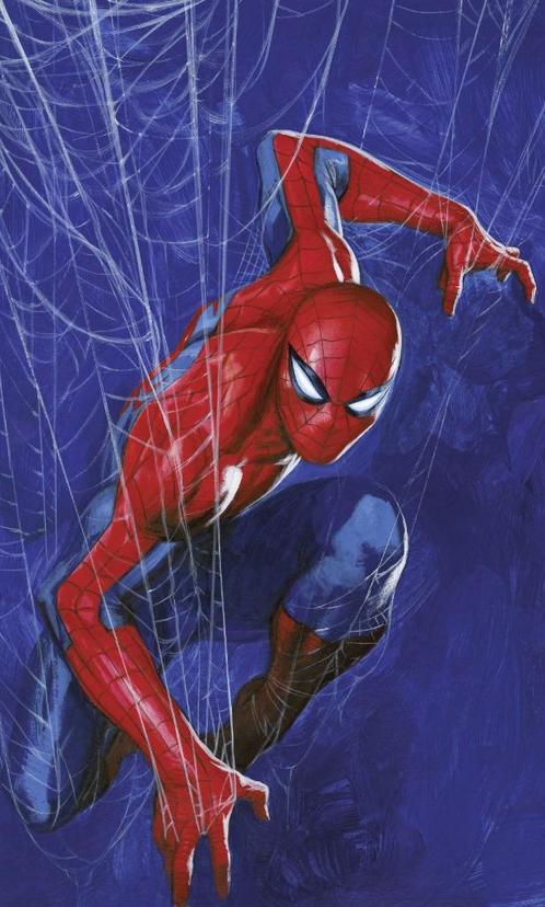 Spiderman Vlies Behang Web - 150x250 cm - Gratis Verzending, Huis en Inrichting, Stoffering | Behang, Blauw, Rood, minder dan 10 m²