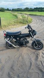 Dax skyteam, Motoren, Scooter, 4 cilinders, Particulier, 50 cc