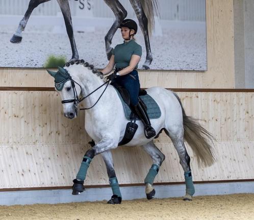 LeMieux Carbon Mesh Sage dressuur dekje SALE!, Dieren en Toebehoren, Paarden en Pony's | Dekens en Dekjes, Nieuw, Dekje, Ophalen of Verzenden