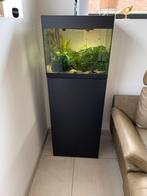 Aquarium Oasis Styleline 85, Animaux & Accessoires, Poissons | Aquariums & Accessoires, Comme neuf, Enlèvement ou Envoi