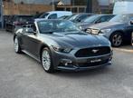 Ford//Mustang//Cabriolet, Autos, Cuir, Argent ou Gris, Achat, Entreprise