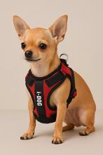 Harnais Canicross I DOG petit chien,, Animaux & Accessoires, Enlèvement