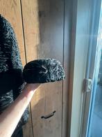 Manteau en fourrure avec chapeau/draps, Enlèvement, Comme neuf