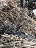 hout, 3 tot 6 m³, Ophalen, Takken