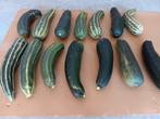 Courgette, Tuin en Terras, Ophalen