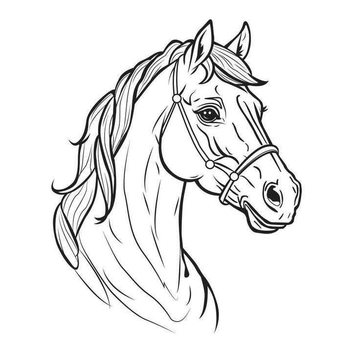 Verzorger gezocht, Dieren en Toebehoren, Paarden, Ruin, Onbeleerd, 160 tot 165 cm, 3 tot 6 jaar, Recreatiepaard, Met stamboom