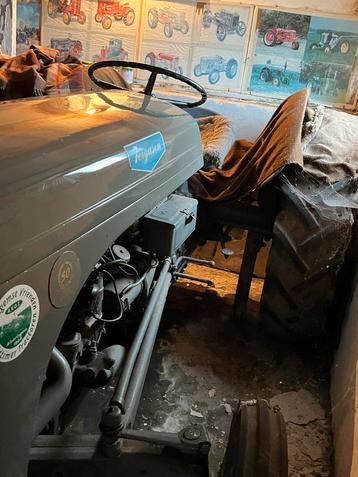 Ferguson Oldtimer/TED 1953 beschikbaar voor biedingen