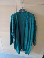 dames gilet maat 5 XL in groene kleur lang model, Ophalen, Gedragen, Maat 46/48 (XL) of groter, Groen