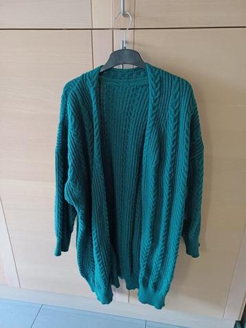 dames gilet maat 5 XL in groene kleur lang model beschikbaar voor biedingen