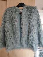 Jas voor dames, Kleding | Dames, Jassen | Winter, H&M, Blauw, Zo goed als nieuw, Ophalen