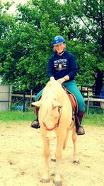 13 jarige andalusier ruin 1.60m, Dieren en Toebehoren, Paarden, Gechipt, Ruin, M, Dressuurpaard