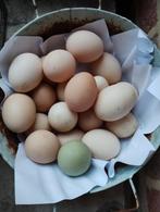 Verse eieren, Diversen, Levensmiddelen, Ophalen