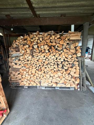 Brandhout – €75 per kubieke meter beschikbaar voor biedingen