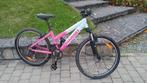 VTT Dianant 24", Ophalen, Zo goed als nieuw, Aluminium, 24 inch of meer