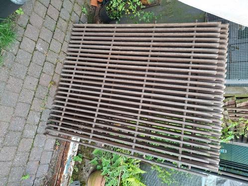 Duiven roosters hout, Dieren en Toebehoren, Vogels | Duiven, Overige soorten