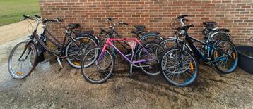 Lot fietsen (6 stuks). beschikbaar voor biedingen