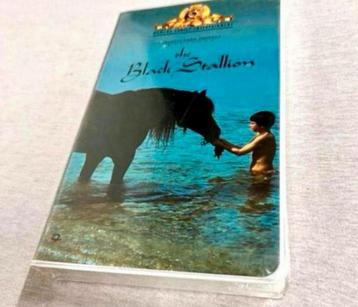 The Black Stallion VHS 1994 Mickey Rooney Teri Video-band beschikbaar voor biedingen