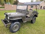 Willys CJ3A afkomstig van het Belgische leger, Auto's, Stof, 4 cilinders, CJ, Overige kleuren