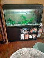 AQUARIUM 240 L, Dieren en Toebehoren, Ophalen, Gebruikt, Gevuld zoetwateraquarium