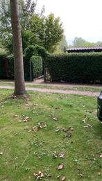 Chalet Bornem, Immo, Buitenverblijven te koop