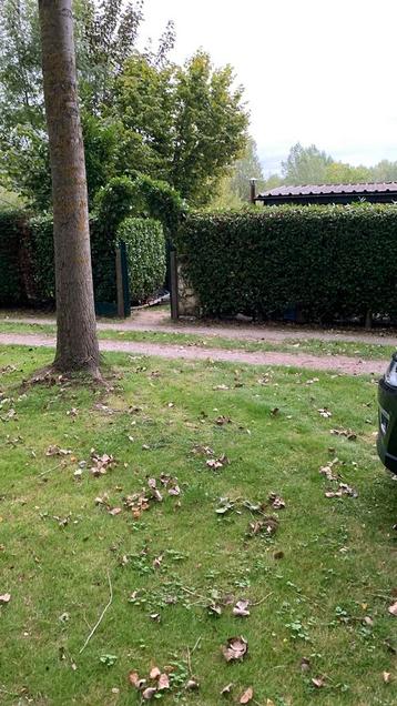 Chalet Bornem beschikbaar voor biedingen