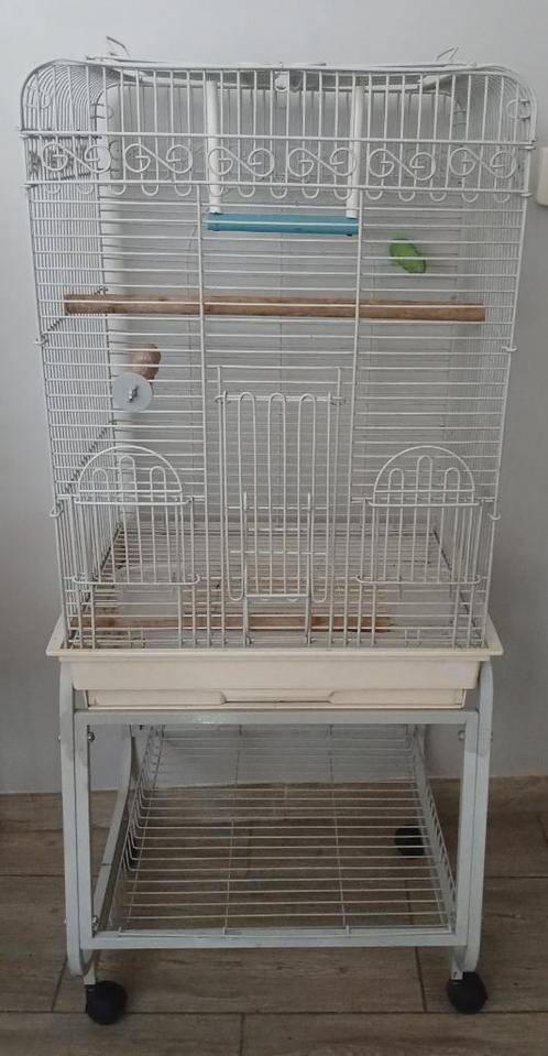 Grote papegaaienkooi met complete accessoires, Dieren en Toebehoren, Vogels | Hokken en Kooien, Ophalen of Verzenden