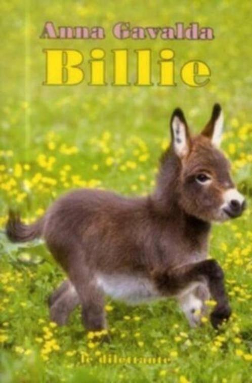 boek: Billie/Anna Gavalda (FRANSTALIG), Boeken, Taal | Frans, Zo goed als nieuw, Fictie, Ophalen of Verzenden