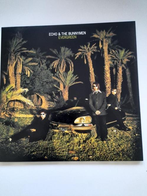 Echo & The Bunnymen, Cd's en Dvd's, Vinyl | Overige Vinyl, Zo goed als nieuw, Ophalen of Verzenden