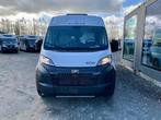 New Sunlight Cliff 600 Entry 2025 140pk ‼️‼️‼️-2.500€ ‼️‼️‼️, Sunlight, Bus-model, Bedrijf, Diesel