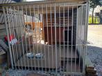 Chenil 2mx3m+ Niche + 2 gamelles, Dieren en Toebehoren, Hondenhokken, Ophalen, Hondenkennel, 100 cm of meer, 110 cm of meer