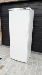 Congélateur Bosch blanc 299 litres, Gebruikt, Tussenbouw, 160 cm of meer, 60 tot 90 cm