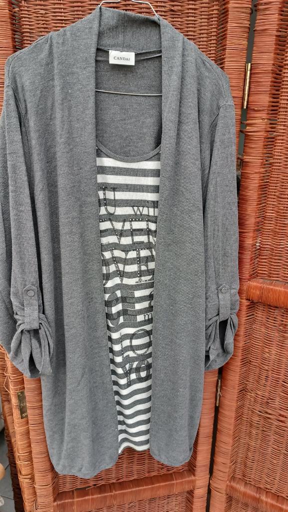 2-in-1 vest met 3/4 mouwen, maat 48/50 Canada, Kleding | Dames, T-shirts, Ophalen