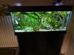 Aquarium Rio 180 + meubel + Helialux spectrum compleet, Ophalen, Gebruikt, Gevuld zoetwateraquarium