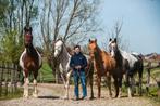 Training van paarden & pony’s, Zadelmak