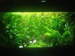 JBL Co2 regelaar op pH meting, Animaux & Accessoires, Poissons | Aquariums & Accessoires, Filtre ou CO2, Enlèvement, Utilisé