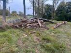 Droog Hout van populieren, Tuin en Terras, Brandhout, Ophalen