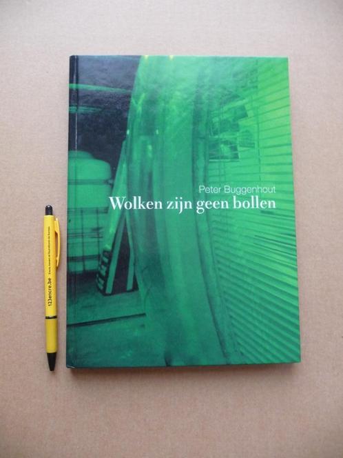 PETER BUGGENHOUT  : WOLKEN ZIJN GEEN BOLLEN, Boeken, Kunst en Cultuur | Beeldend, Zo goed als nieuw, Beeldhouwkunst, Ophalen of Verzenden