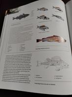 Dik boek: Ons voedsel, Frans M. de Jong, Régime et Alimentation, Comme neuf, Enlèvement