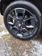 Velgen Suzuki, Enlèvement