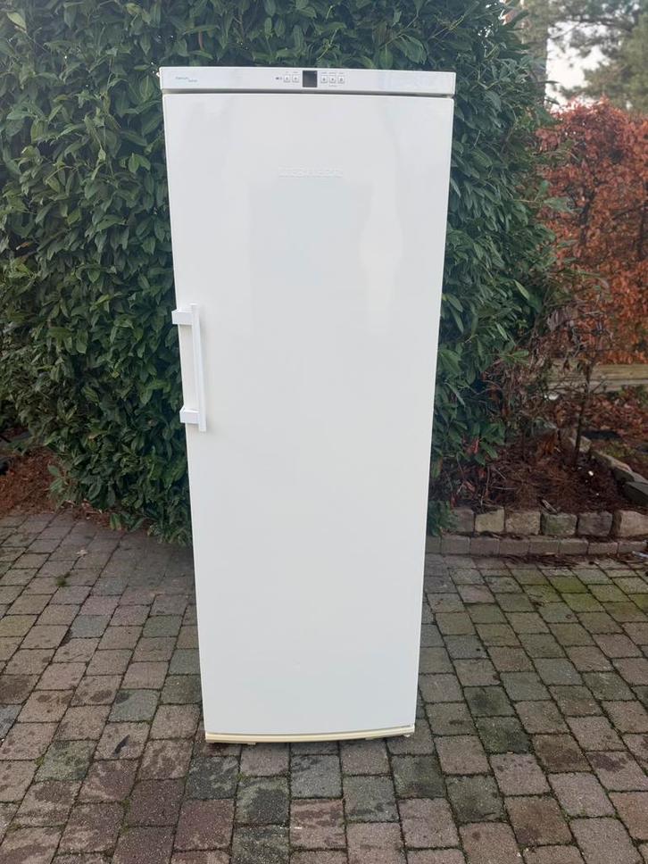 diepvries liebherr A+++ no frost zeer proper als nieuw!, Electroménager, Congélateurs, Comme neuf, Congélateur, Congélateur, Enlèvement