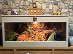 Grote volledig ingerichte terrarium, Dieren en Toebehoren, Ophalen, Zo goed als nieuw