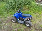 Quad dinli 50cc, Overige typen, 50 cc, Gebruikt, Dinli