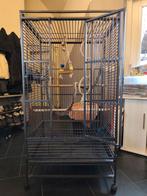 Grote papegaai kooi, Dieren en Toebehoren, Ophalen