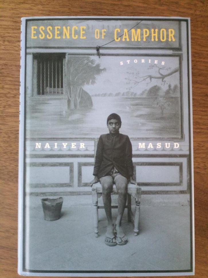 Essence of camphor - Naiyer Masud, Boeken, Literatuur, Zo goed als nieuw, Wereld overig, Ophalen of Verzenden